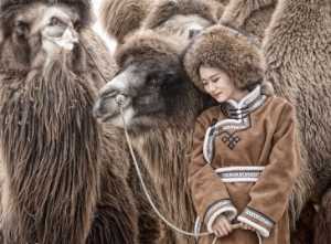 APU Gold Medal - Jijun Sun (China)  Camel And Girl