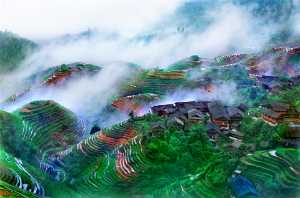 APU Gold Medal - Tong Hu (China)  Mist Mountain Village