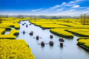 Golden Dragon Photo Award - Limin Wu (China) - River Through The Flowers