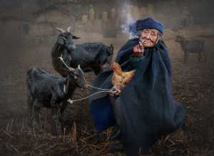 MPSA Gold Medal - Ching Ching Chan (Hong Kong)  The Goat Lady