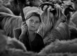 APU Gold Medal - Istvan Kerekes (Hungary)  Shepherd Girl
