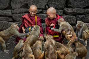 APU Gold Medal - Kwok Hoong Vincent Eu (Singapore)  Feeding the monkeys