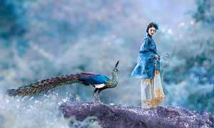 APU Gold Medal - Jiangchuan Tong (China)  The Peacock And The Beauty