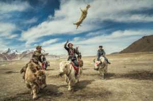 Best 100 Collection - Guoyun Zhang (China)  Rob Sheep Race 15