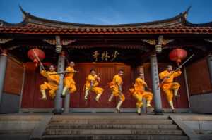 Best 100 Collection - Zhesheng Zhuang (China)  Shaolin 1