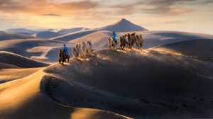 Best 100 Collection - Wei Zeng (China)  Journey In Desert